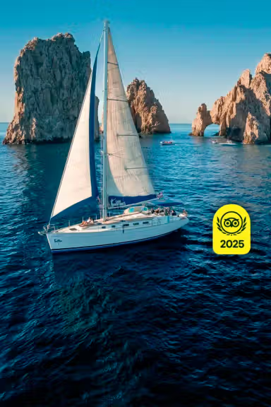 CABO SAILING & SNORKELING