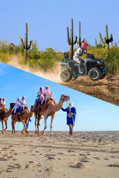 CAMELS + ATV + LUNCH