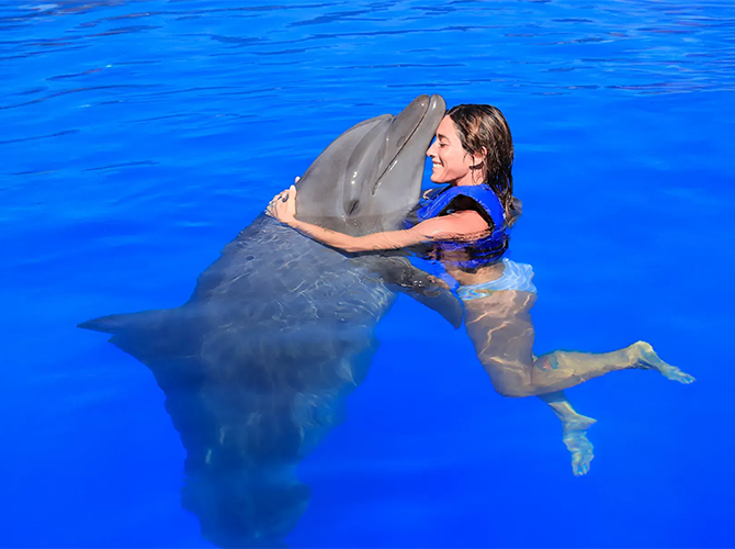 A woman swimming in a pool hugging a dolphin.
