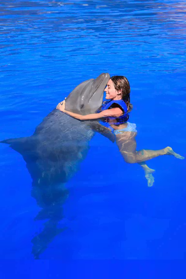 PREMIUM SWIM WITH DOLPHINS & SEA LIONS