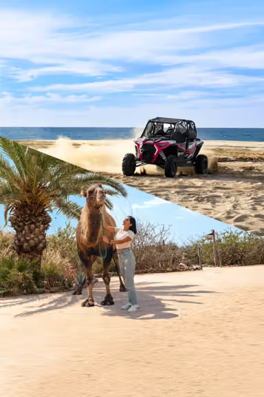 UTV OFF ROAD + CAMEL TOUR