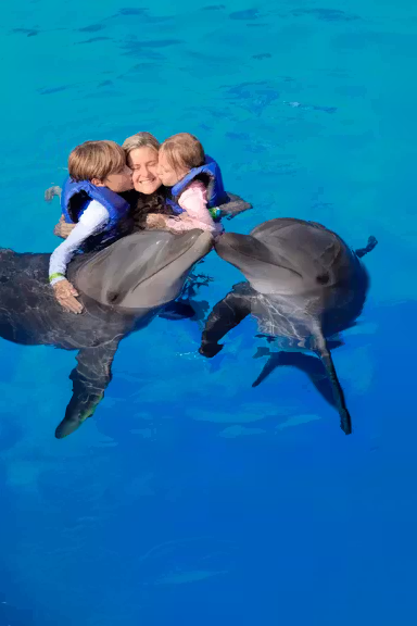 SWIM WITH DOLPHINS