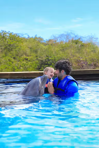 DOLPHIN ENCOUNTER