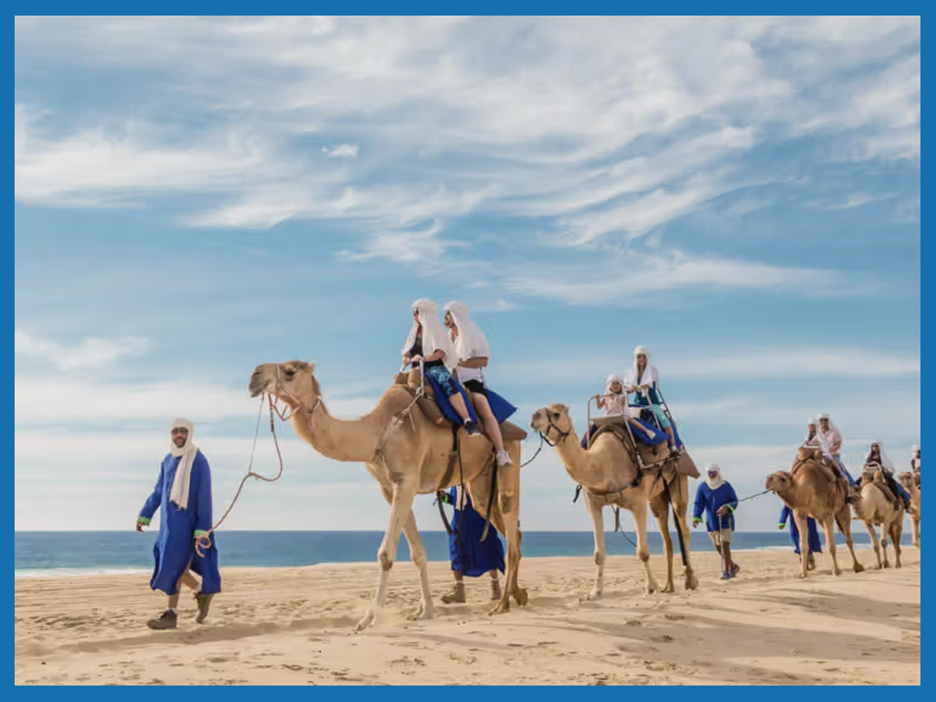 OUTBACK & CABO CAMEL RIDE