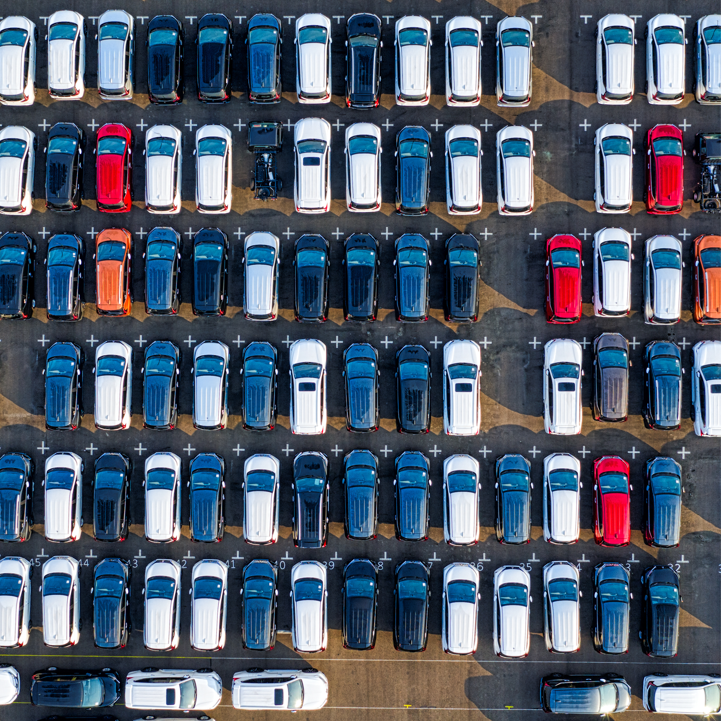 Standard Dealer Reconditioning — $65 per Vehicle