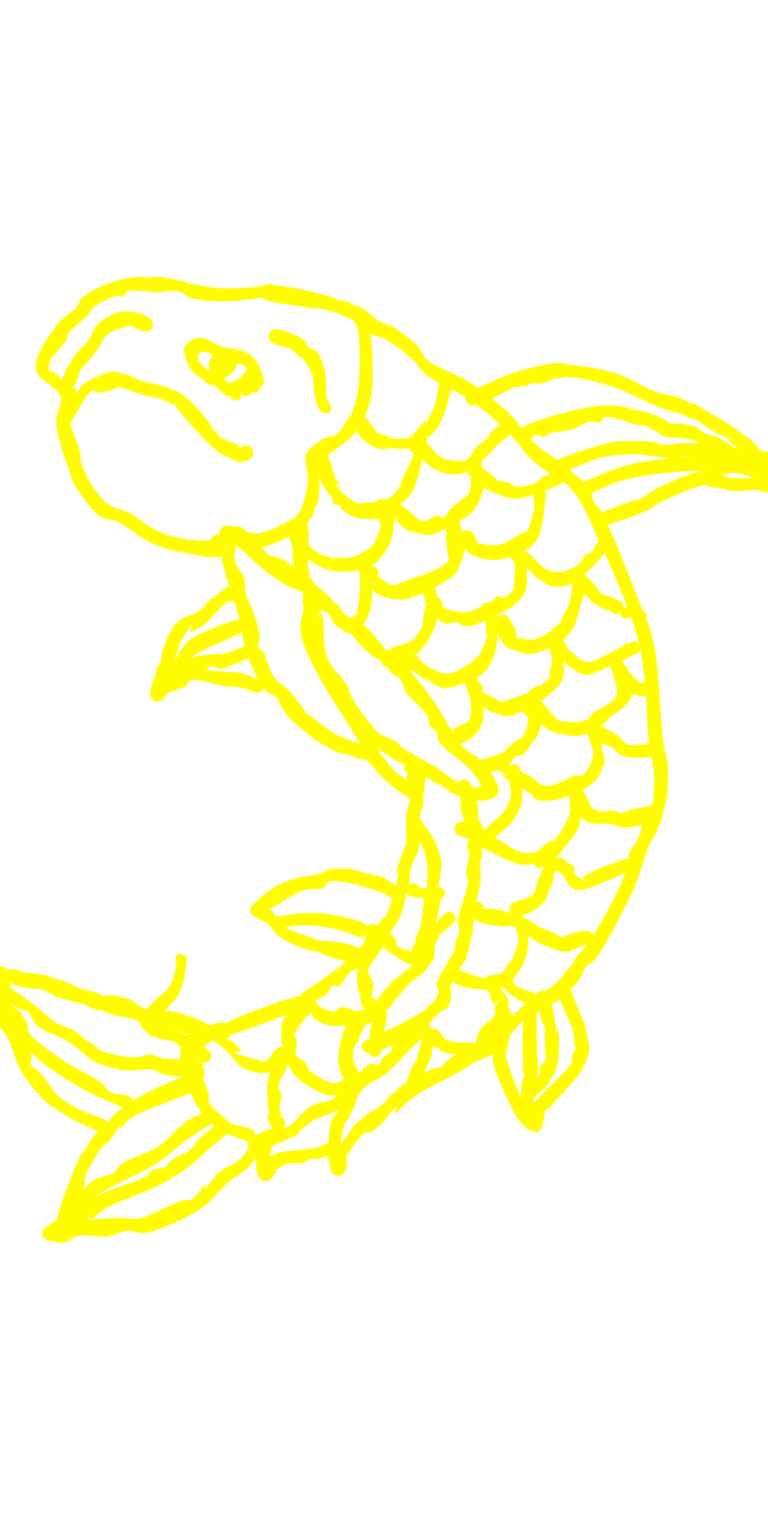 Yellow outline drawing of a koi fish on a white background.