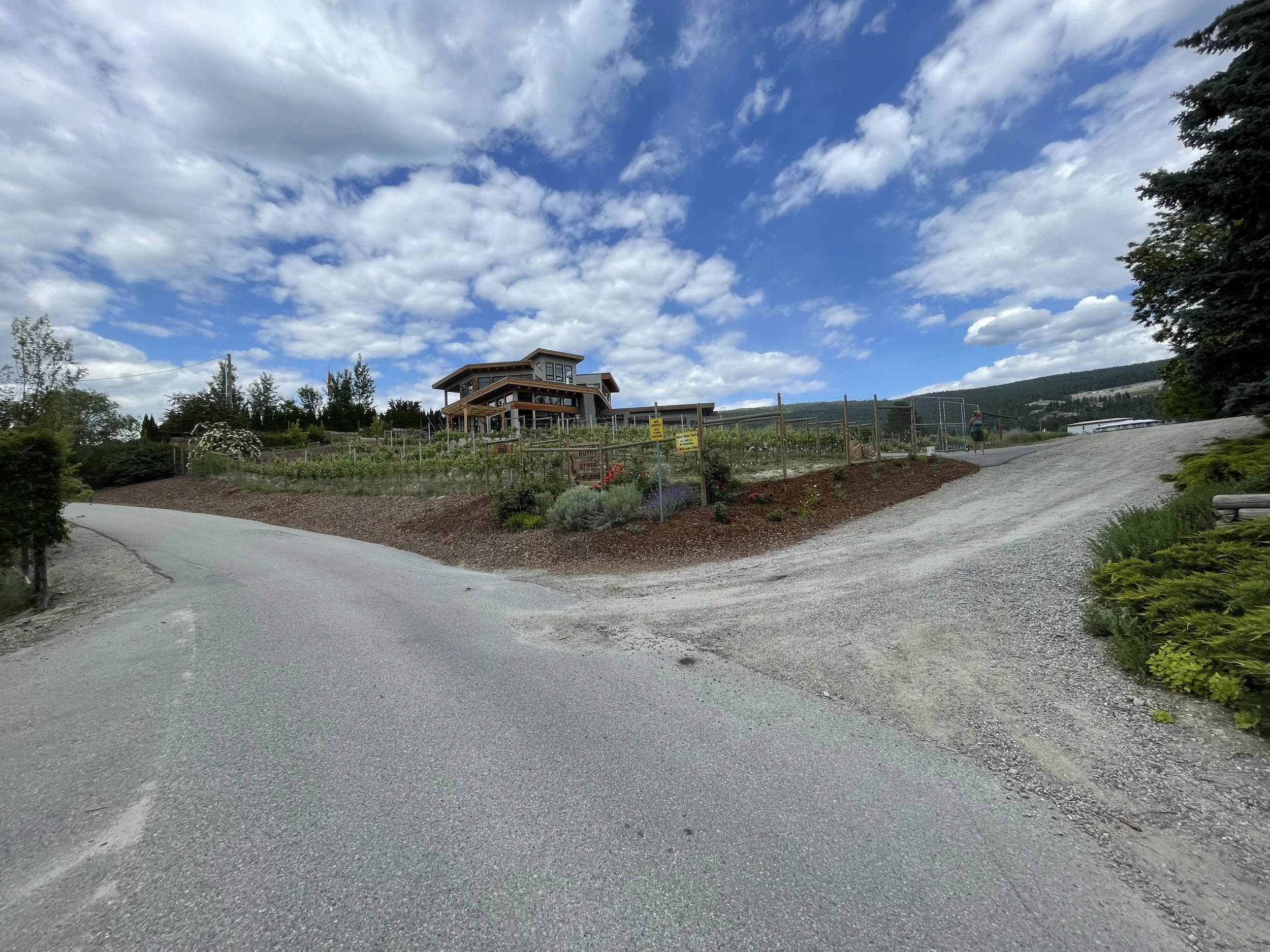 BC wine grape sales