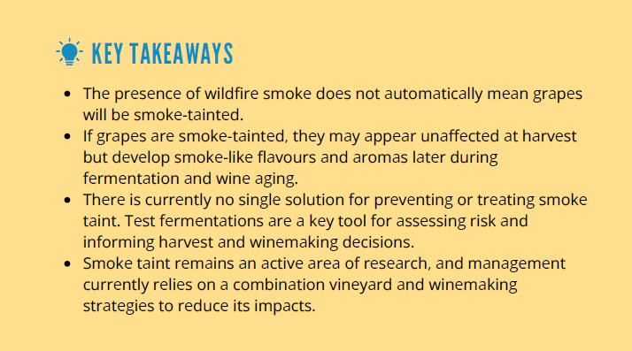 Understanding Smoke Taint