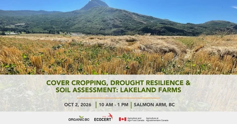 Cover Cropping, Drought Resilience & Soil Assessment: Lakeland Farms