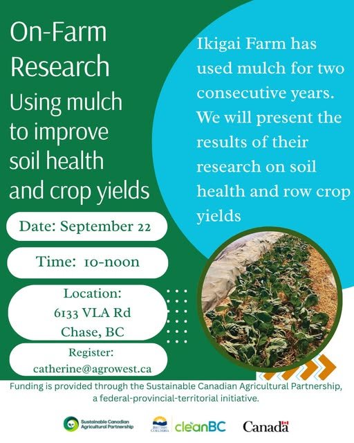 On Farm Research: Using Mulch to Improve Soil Health & Crop Yields