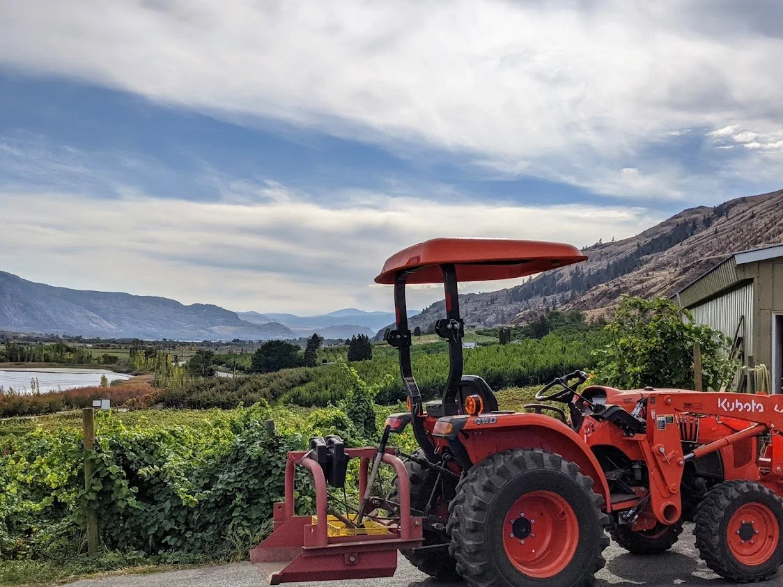 Red Kubota tractor parked near vineyards with hills and a lake in the background under a partly cloudy sky.