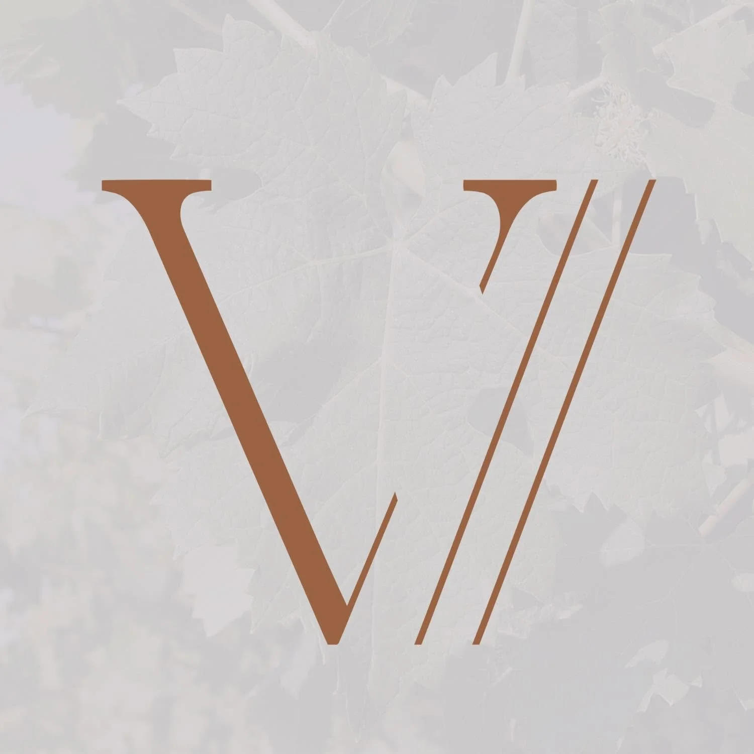 Vitis-import