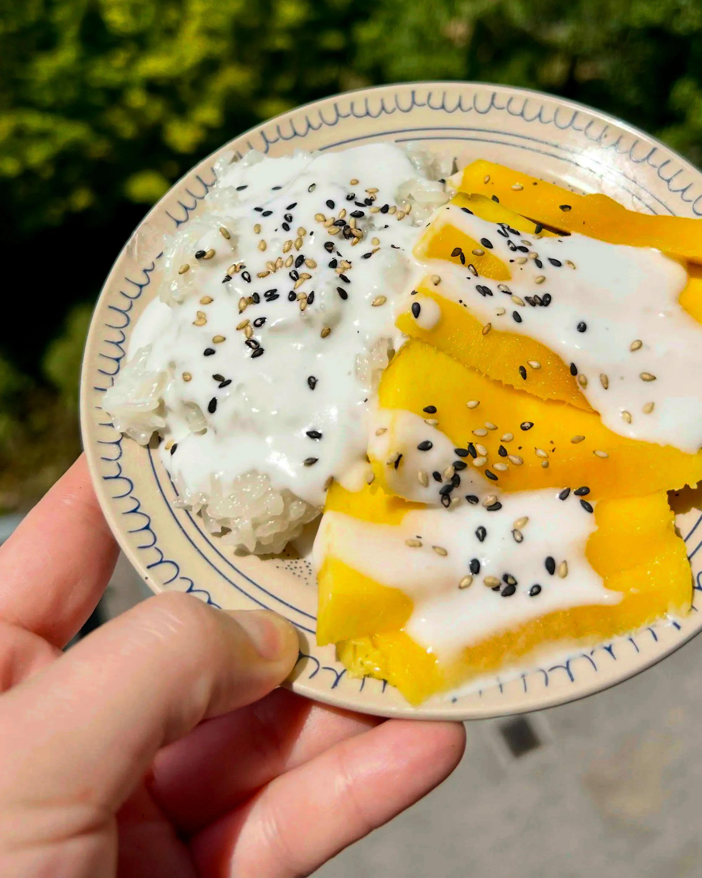 mango sticky rice 