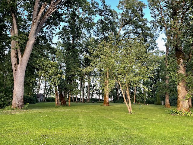 A grassy field with tall trees and a partly cloudy sky.