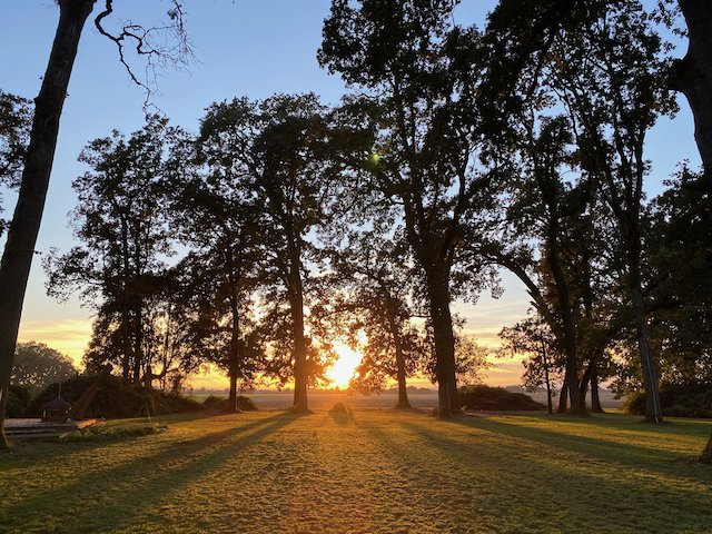 Sunset or sunrise over a park with tall trees and a grassy area, casting long shadows.