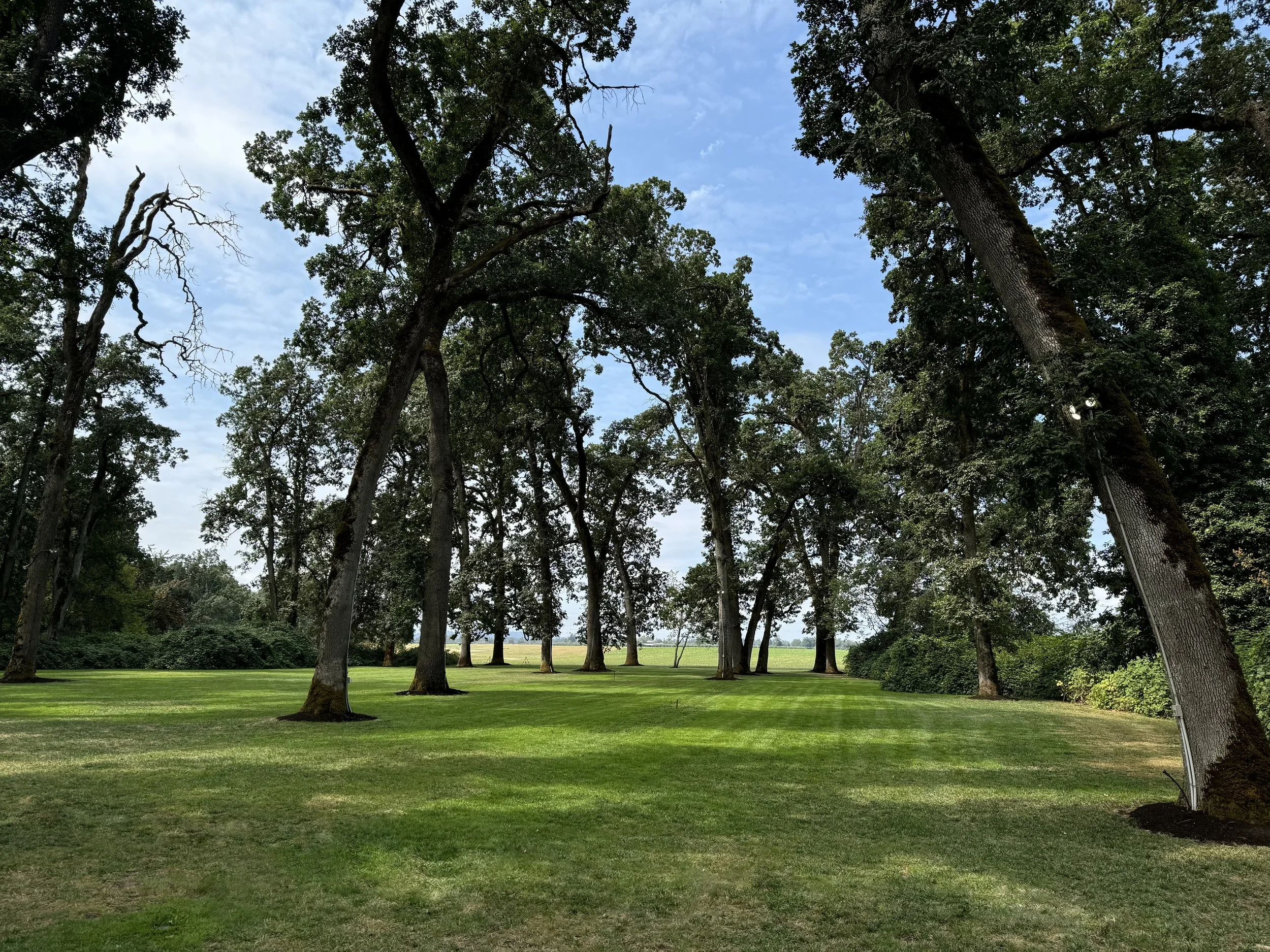 A lush green park with tall trees and a well-maintained grassy lawn, under a partly cloudy sky.