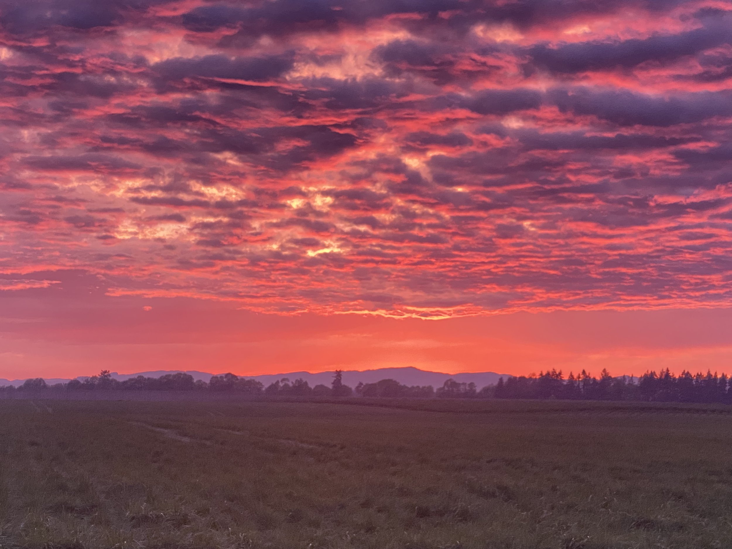 Colorful sunset over open fields with silhouettes of trees and distant mountains.