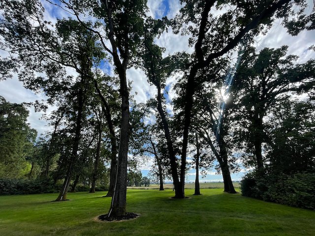 A park with lush green grass, tall trees, and a view of the sky with clouds and sunlight.