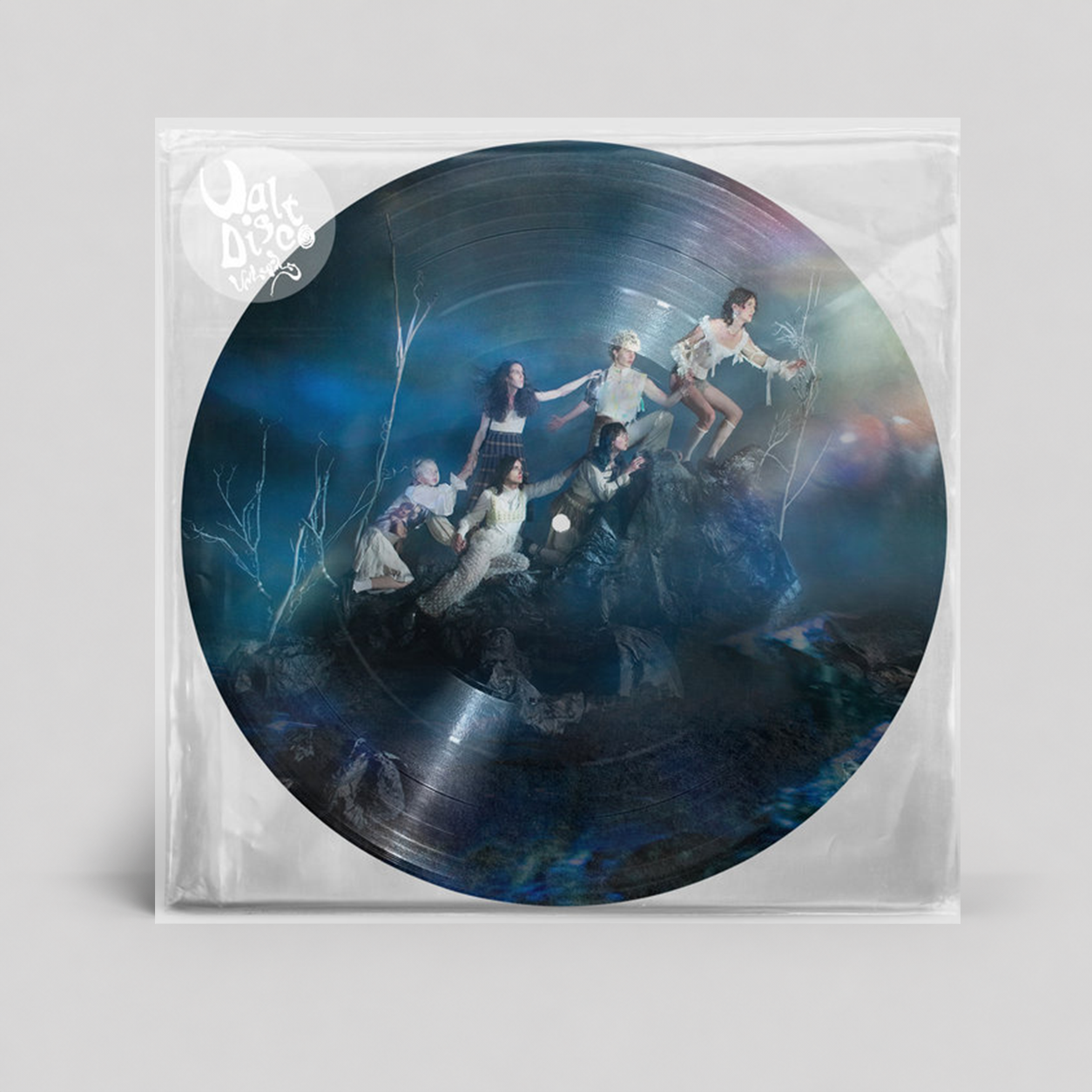 PICTURE DISC W: GREY.png