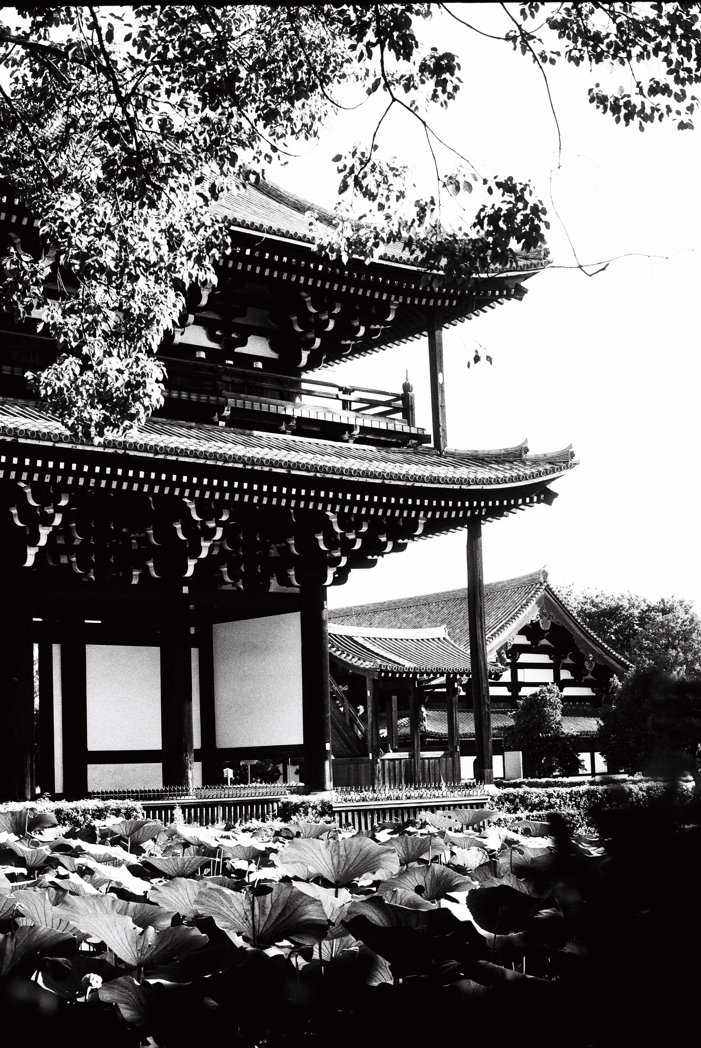 R1-03287-0015.JPG