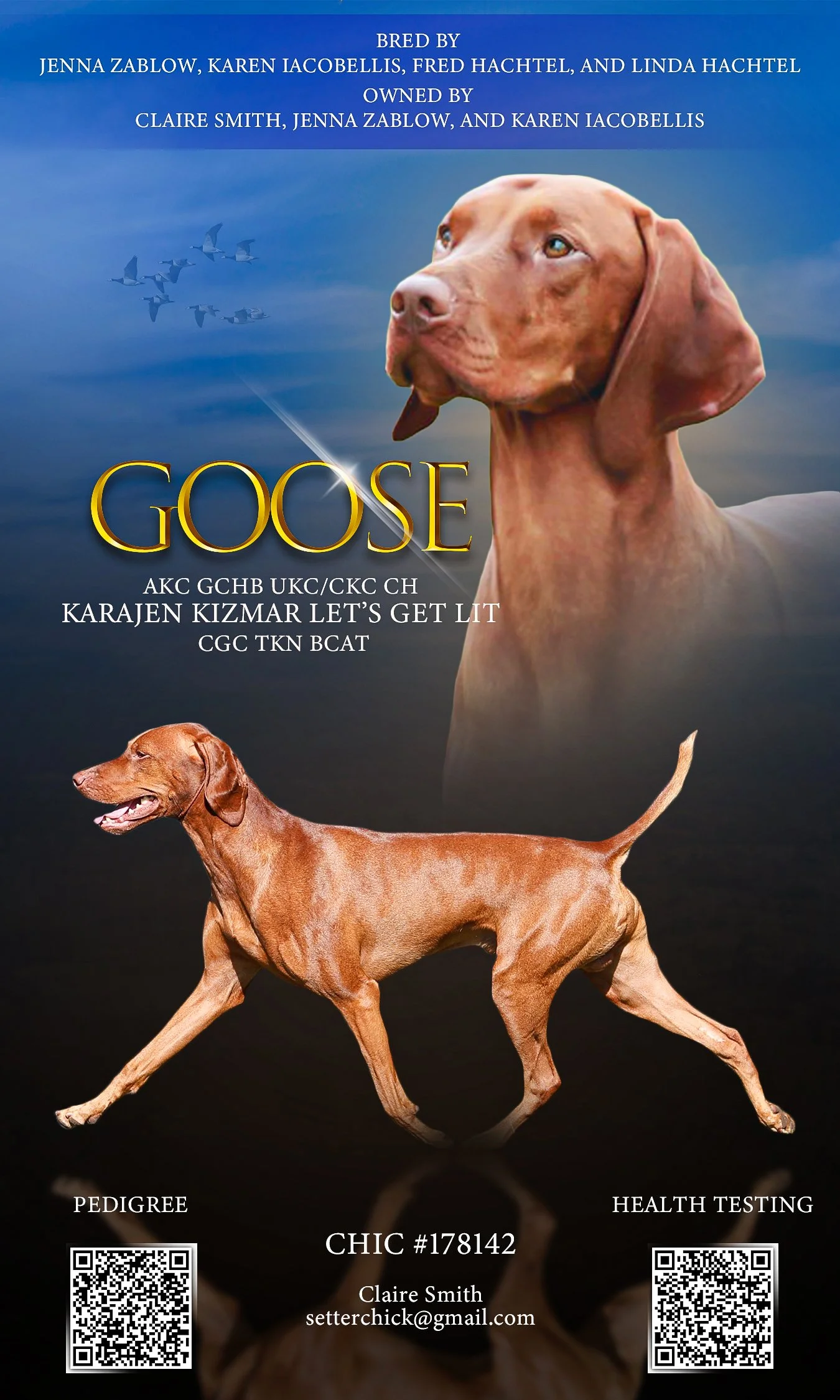 Goose.jpg