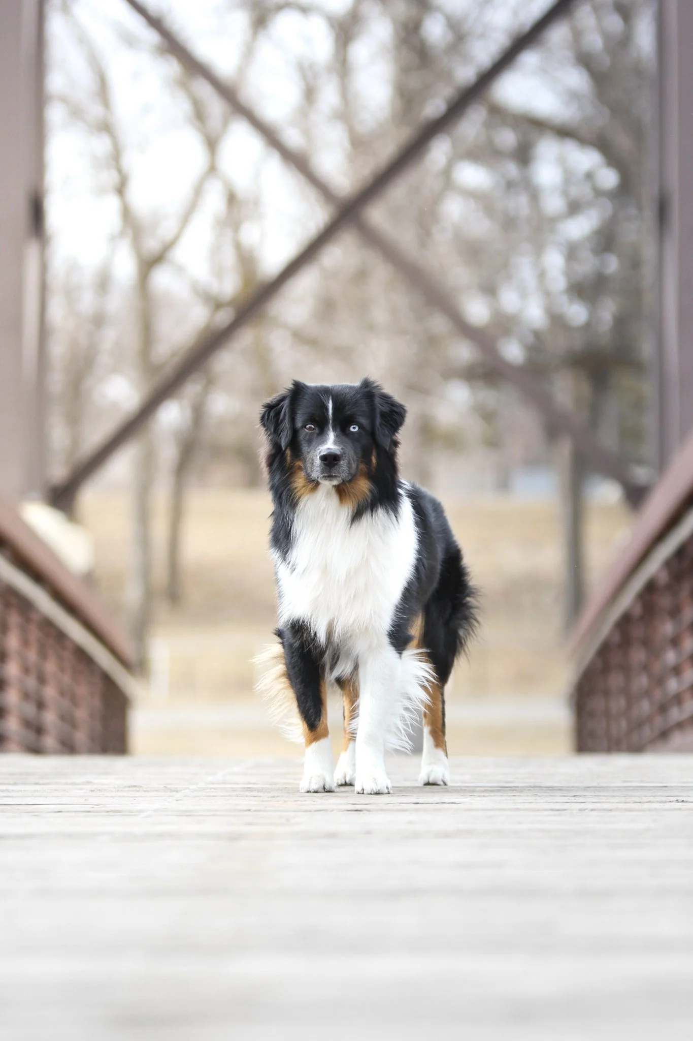 gotcha-day-7.jpg