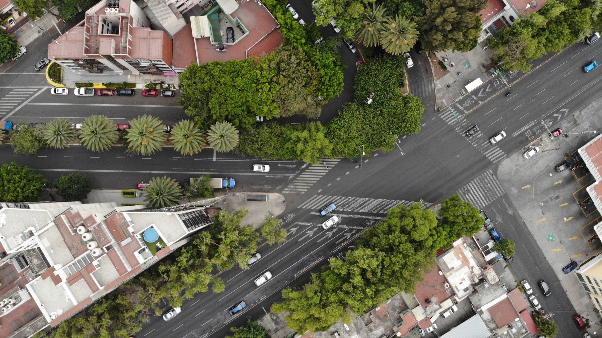 Aerial view of a leafy Mexico City intersection with mid-rise flats, tree canopies, palm trees, zebra crossings and parked cars along the kerbs.