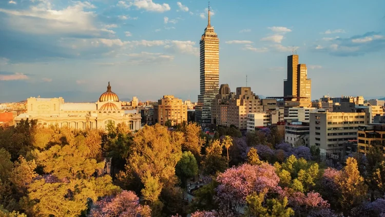 Tree-lined residential street in the Roma neighbourhood of Mexico City