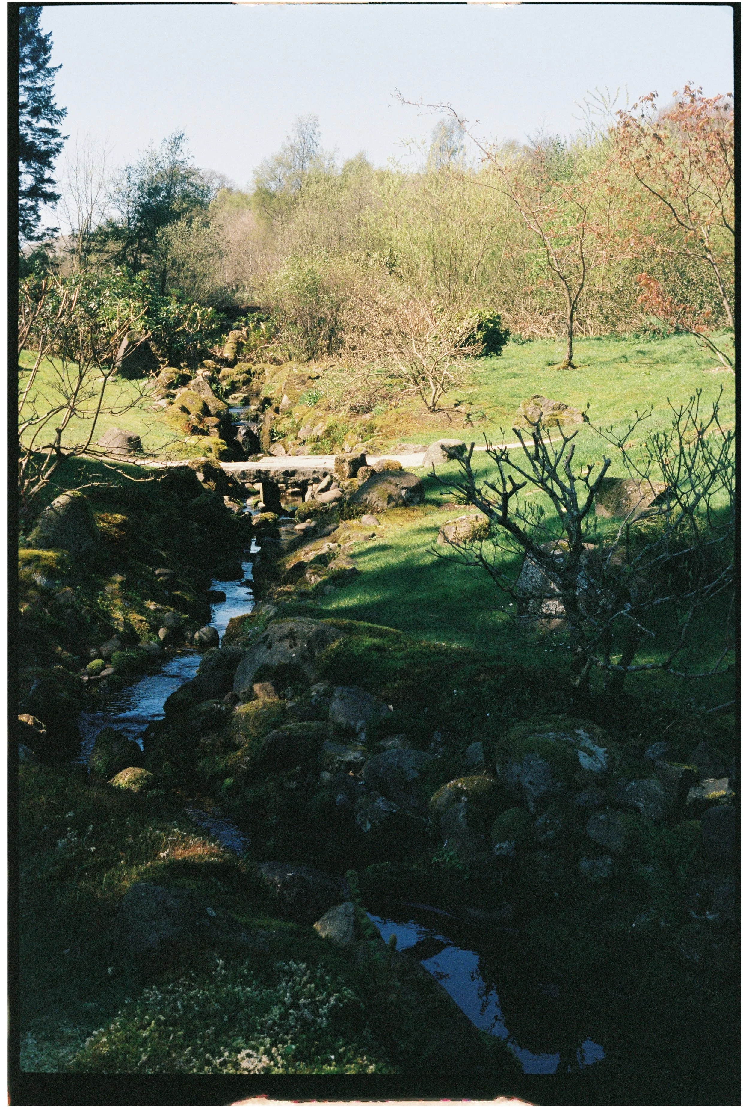 A peaceful garden scene with a small stream flowing over rocks, surrounded by lush green grass, and a variety of trees and bushes in the background under a clear sky. Photographed on 35mm film.