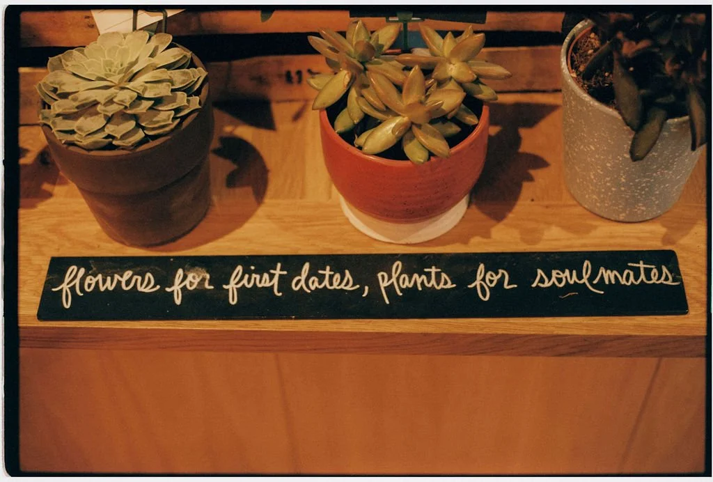 Three potted succulent plants on a wooden surface with a sign that reads "flowers for first dates, plants for soulmates."