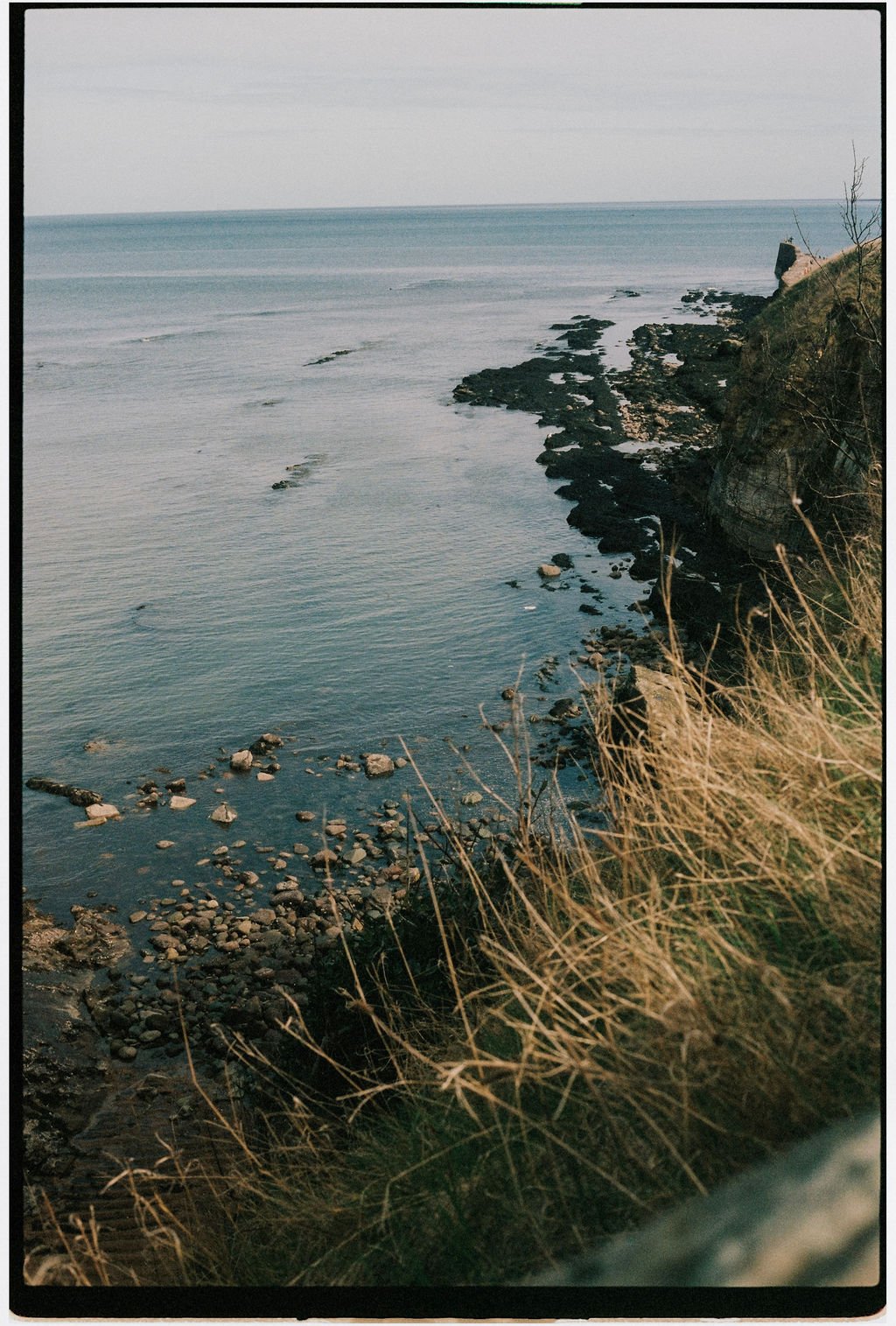 Coastal scene with a rocky shoreline and calm ocean, seen from a grassy cliff.