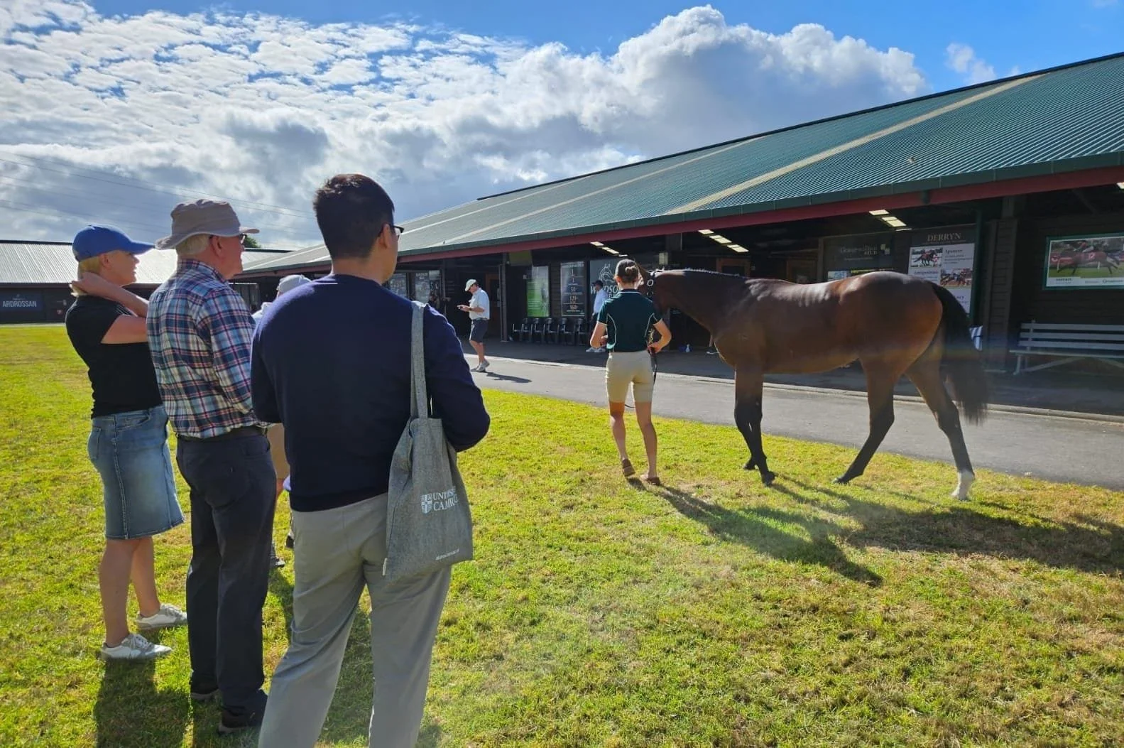 Matching AI with old-school knowledge – uni researchers using computers to help assess racehorses