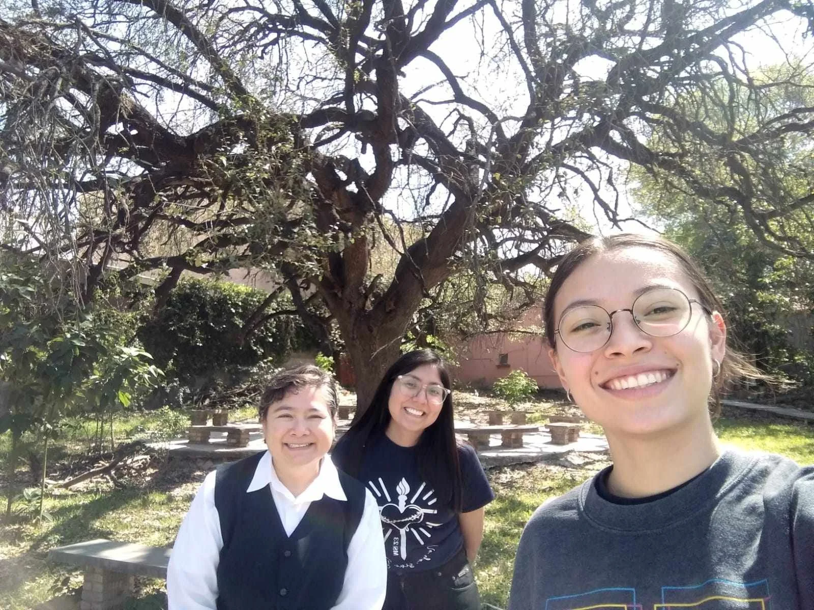 Tres jóvenes sonriendo y tomando una selfie frente a un árbol grande en un parque.