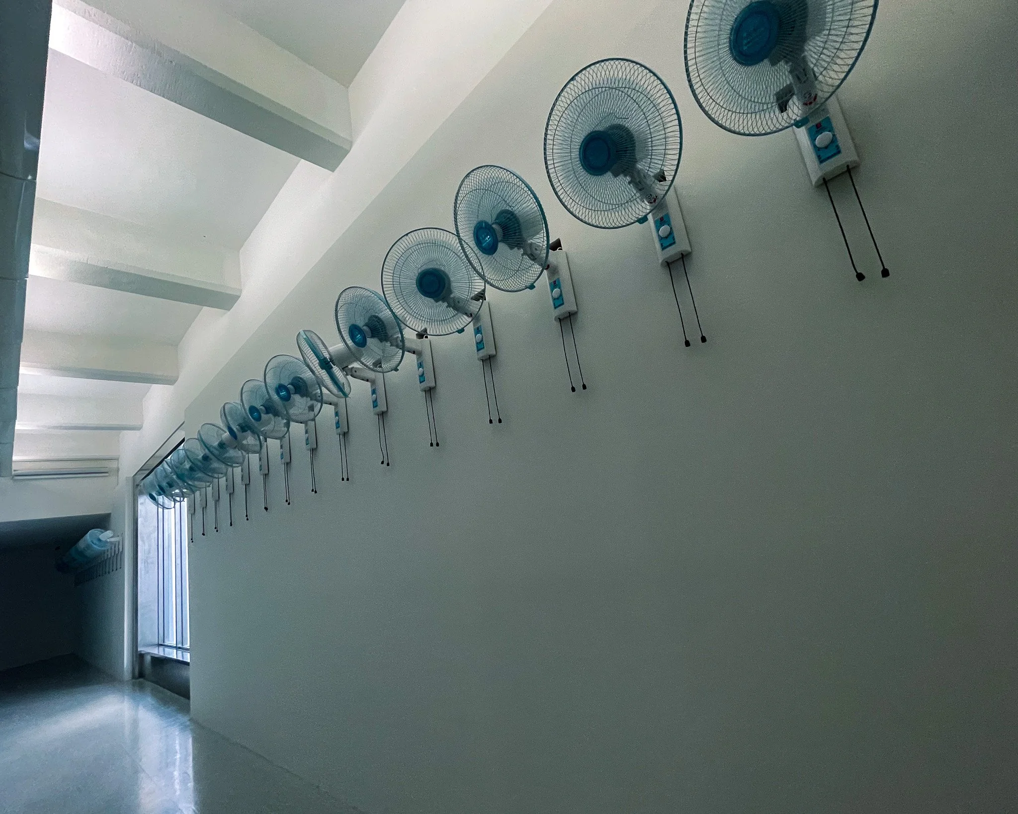 kushphoto-taiwan-wall-mounted-fans-row-2024.jpg