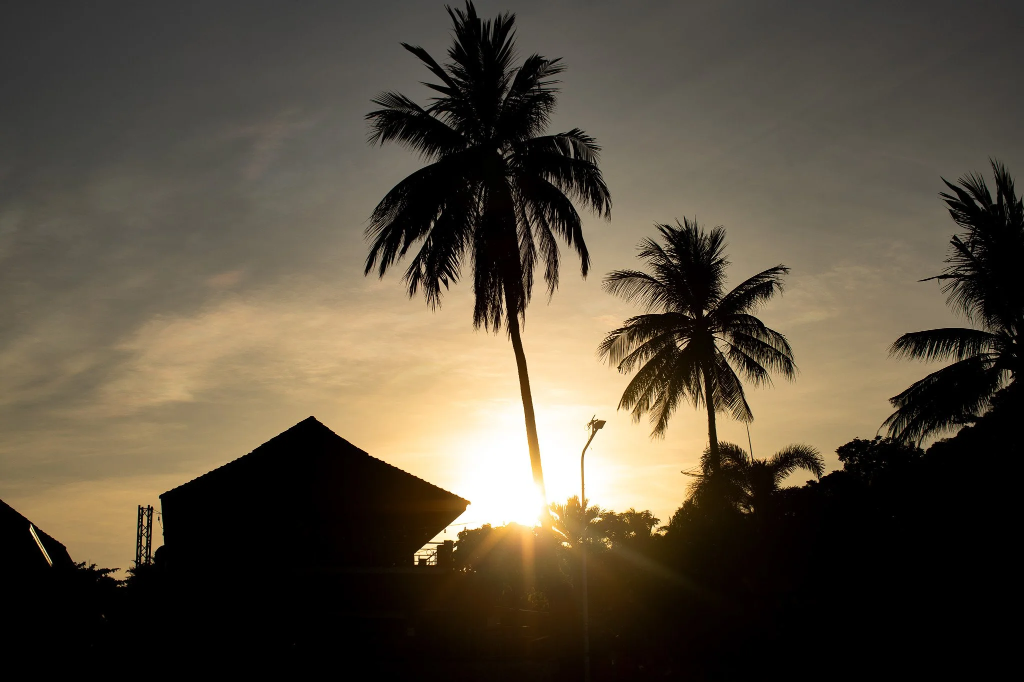 kushphoto-ko-pha-ngan-mae-haad-palm-sunburst-dusk-2024.jpg