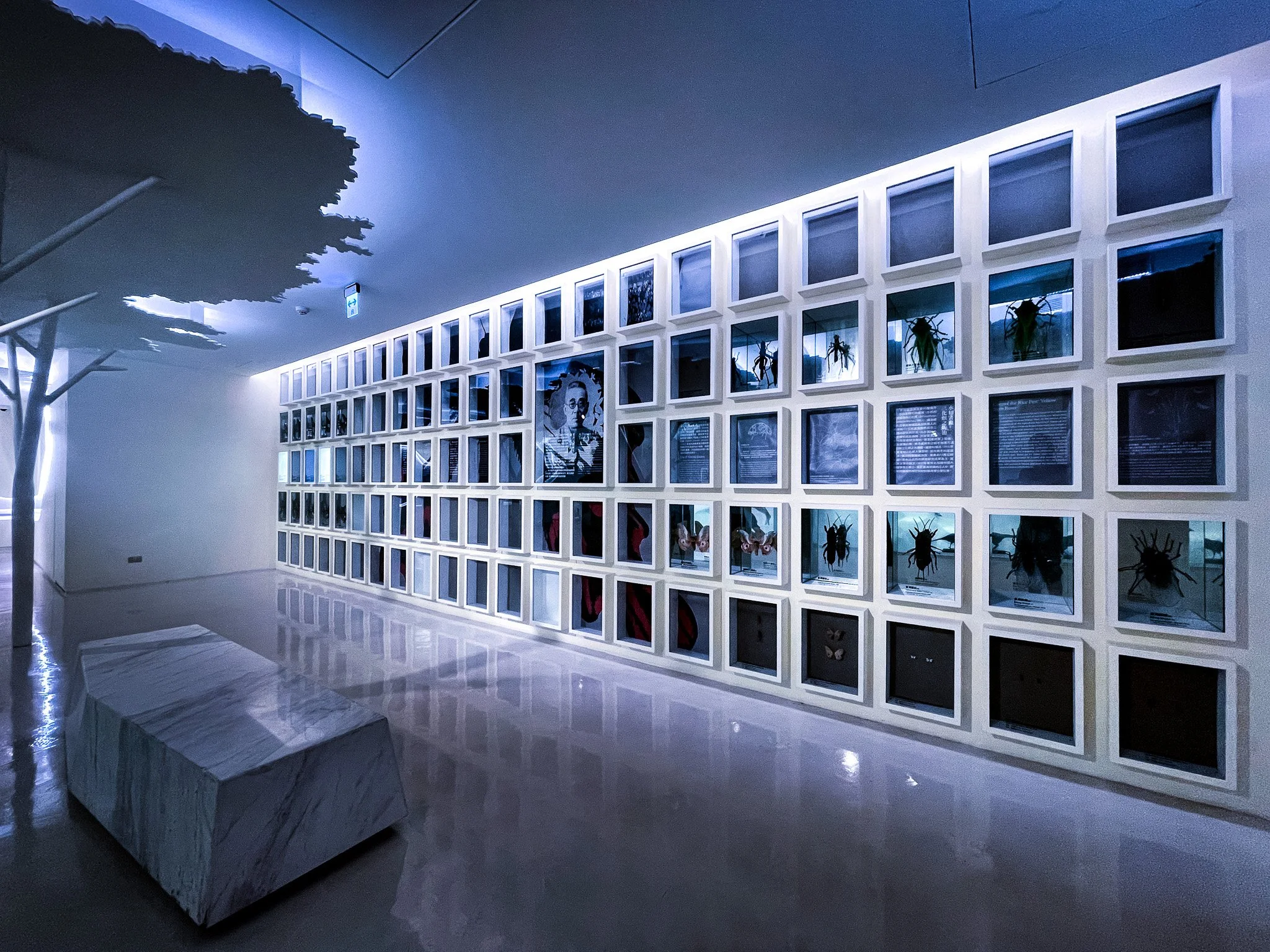 Gridded specimen wall in cool blue museum light, Taipei, 2022
