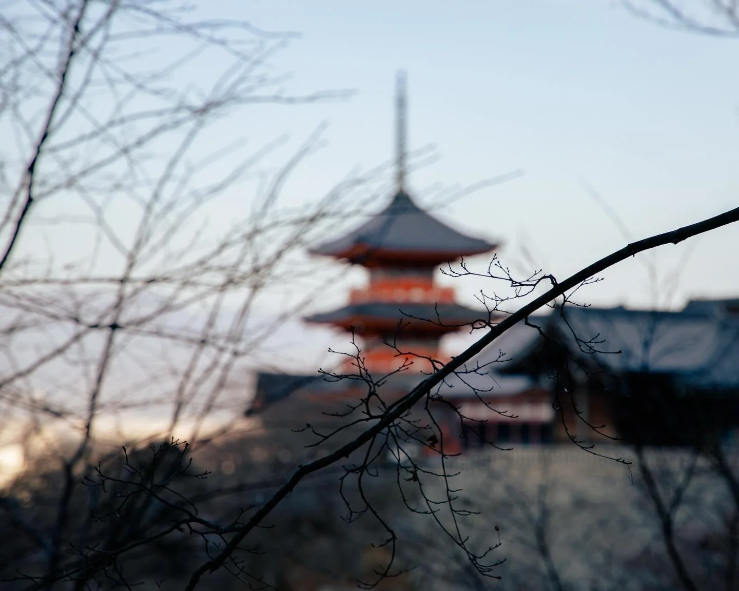 Behind the lattice of bare limbs,
a temple ⛩️ softens into dusk&mdash;
as if the world 🌎 were remembering
a dream it once held gently.

📍Kyoto 京都，Japan 日本 🇯🇵

#kyotojapan #kyoto⛩ #kyototrip #japan #日本街頭攝影 #日本🇯🇵 #streetphotography #streetphotogr