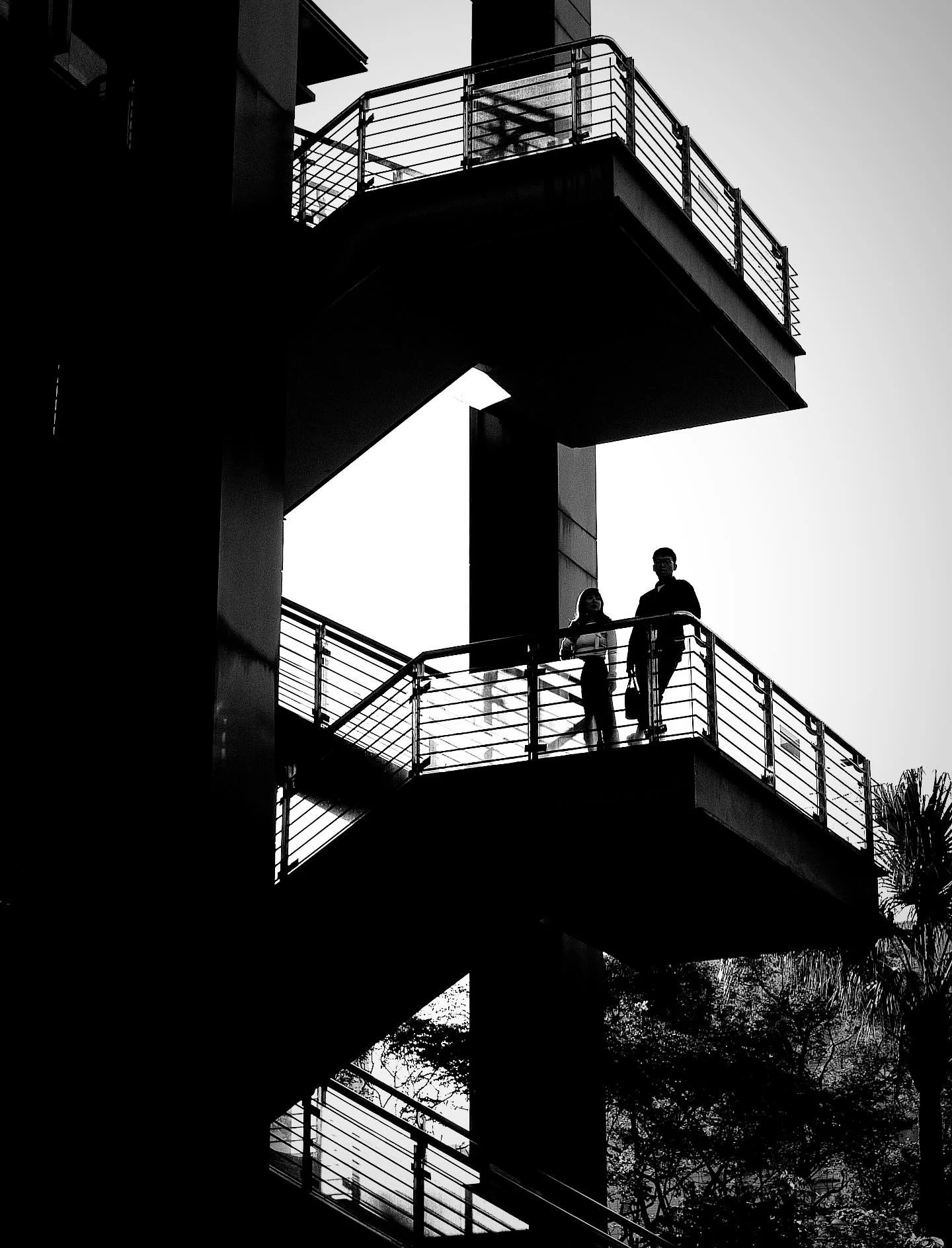Where the afternoon breaks into silver,
their figures 👥 remain&mdash;dark shapes resisting the weight of their own thoughts.

📍Taipei 台北，Taiwan 台灣 🇹🇼

#taipei🇹🇼 #taiwantravel #taiwan #街頭攝影 #台北街頭攝影 #台北 #streetphotography #streetphotographer #sha