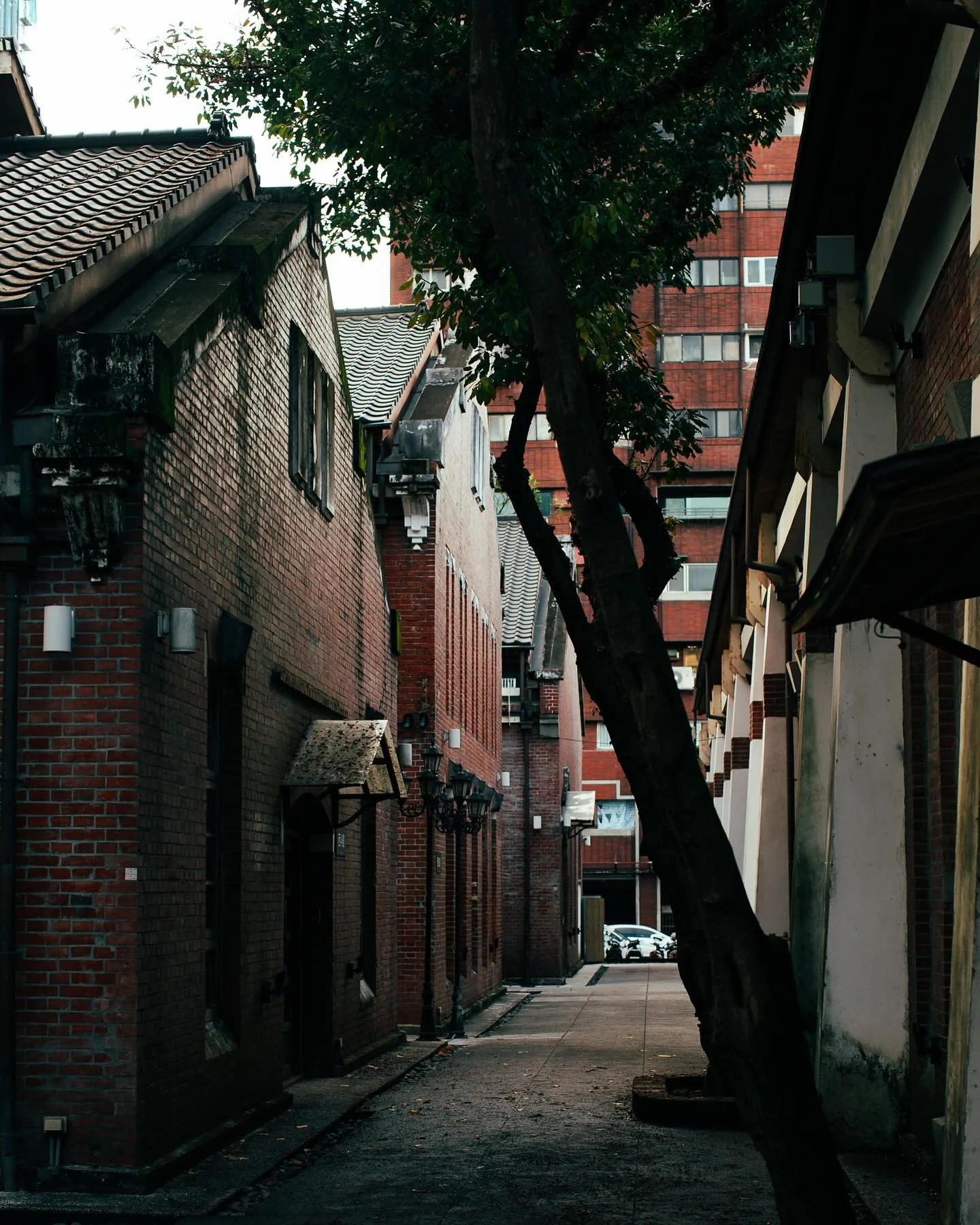 A narrow alley where time ⏱️ lingers&mdash;
brick 🧱 walls holding whispers,
a quiet path breathing between old shadows
and the day&rsquo;s soft light 💡 

📍華山文化創意產業園區，台北、台灣 🇹🇼

#taipeitravel #taipei🇹🇼 #taiwanstreetphotography #街頭攝影 #streetphoto
