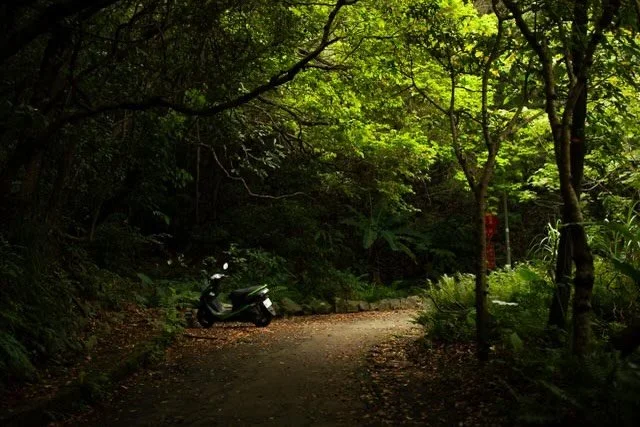 Tucked away in the shadows, waiting for the next trail to unfold. 

📍New Taipei, Taiwan 🇹🇼 

#greenery_scenery #scooterlife #nextadventure #photographyinthewild #findingbeauty