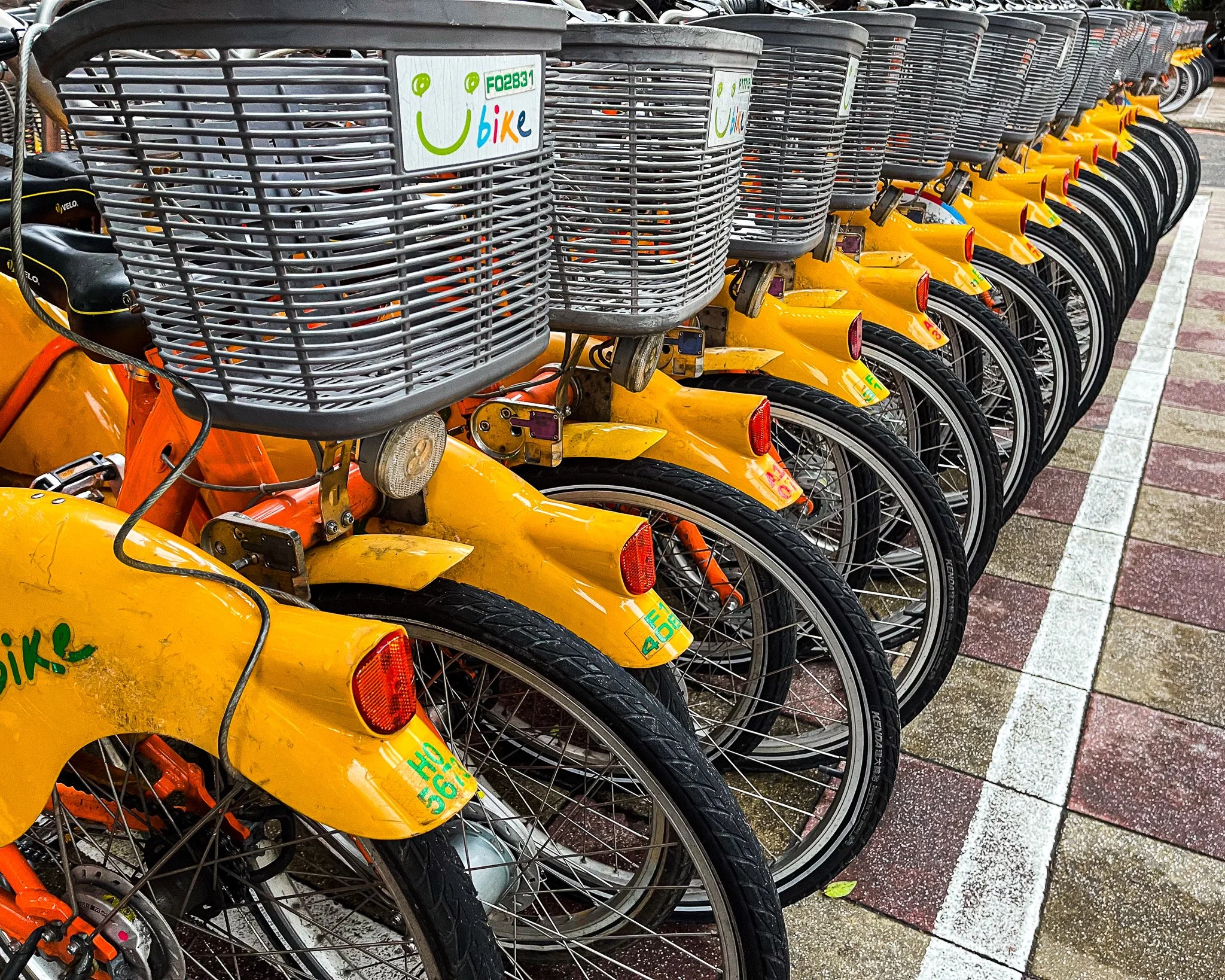A row of yellow rental bikes with front baskets parked on a sidewalk.