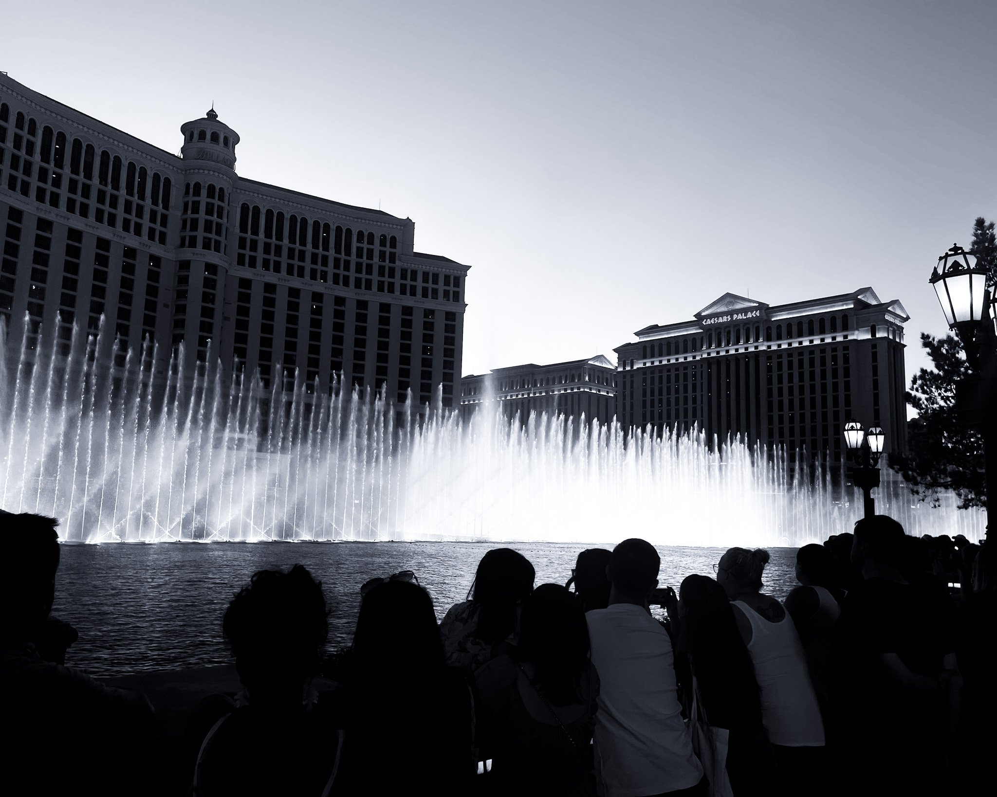 kushphoto-las-vegas-bellagio-fountain-show-2023.jpg