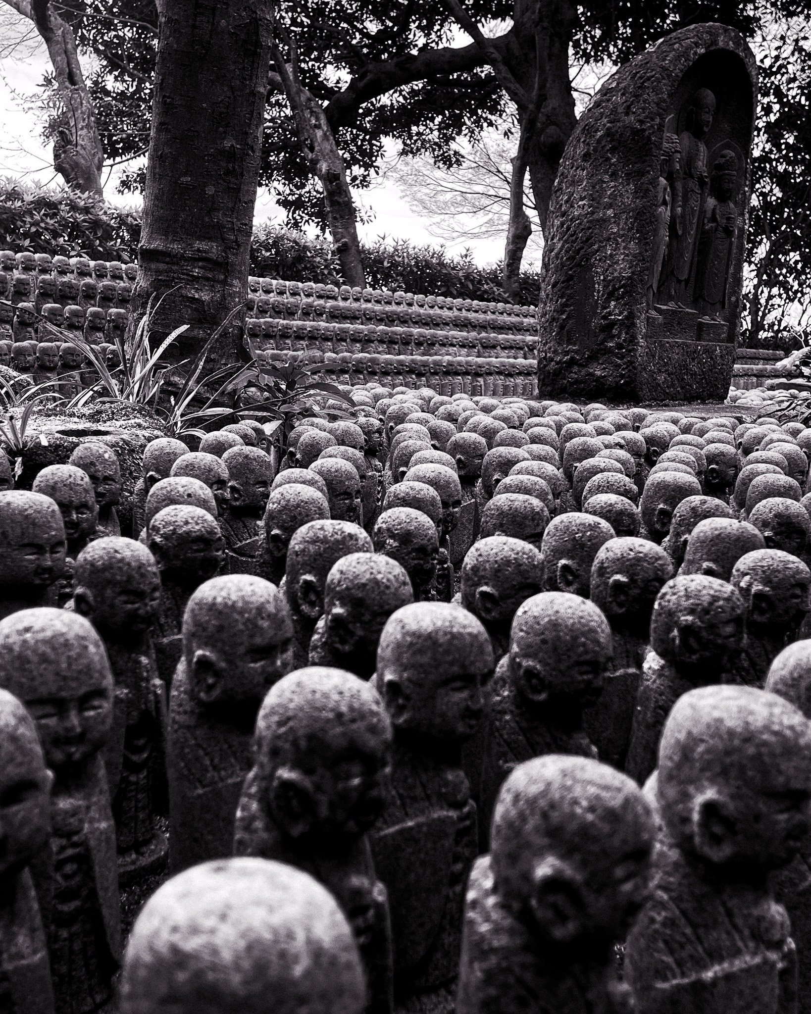 A black and white photo of numerous small stone statues of children with bald heads, arranged in rows outdoors. In the background, there is a large stone monument with carved figures, trees, and foliage.