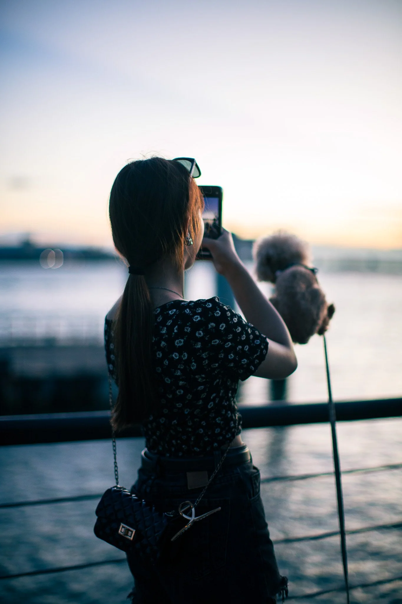 kushphoto-taiwan-woman-photographing-dog-sunset-2024.jpg