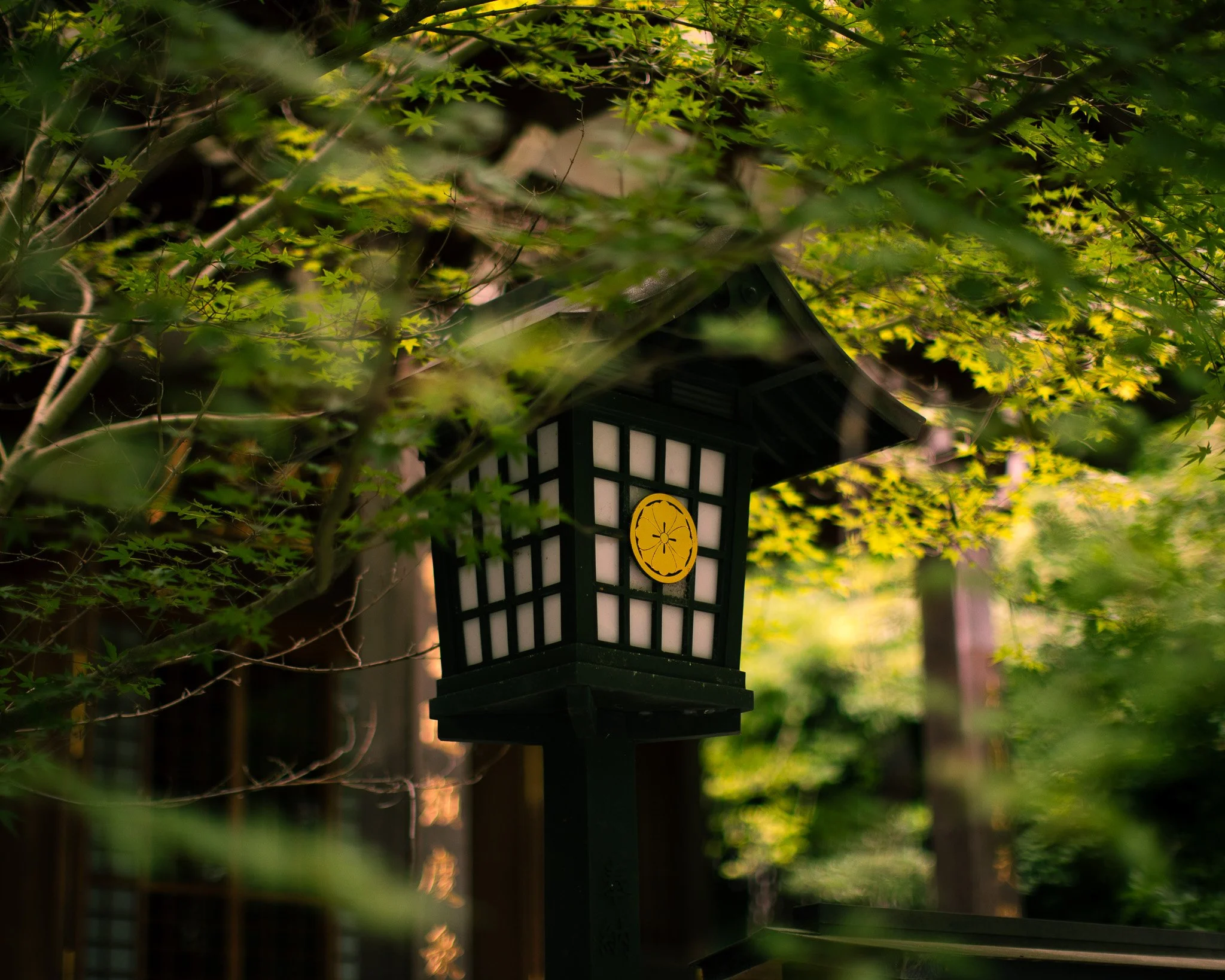 kushphoto-japan-shrine-lantern-maple-leaves-2024.jpg