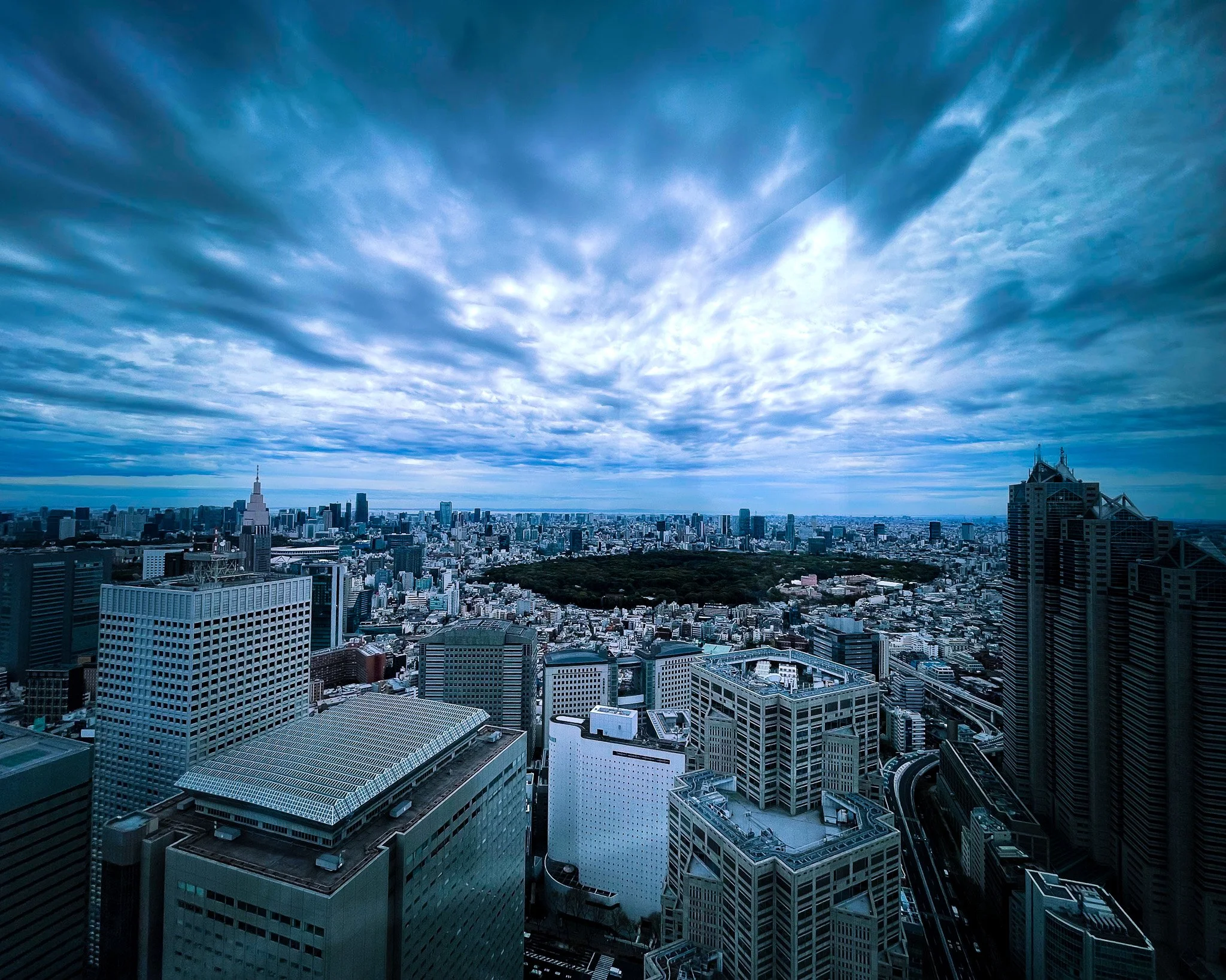 A cityscape view of numerous tall buildings with a forested area in the middle under a cloudy sky during daytime.