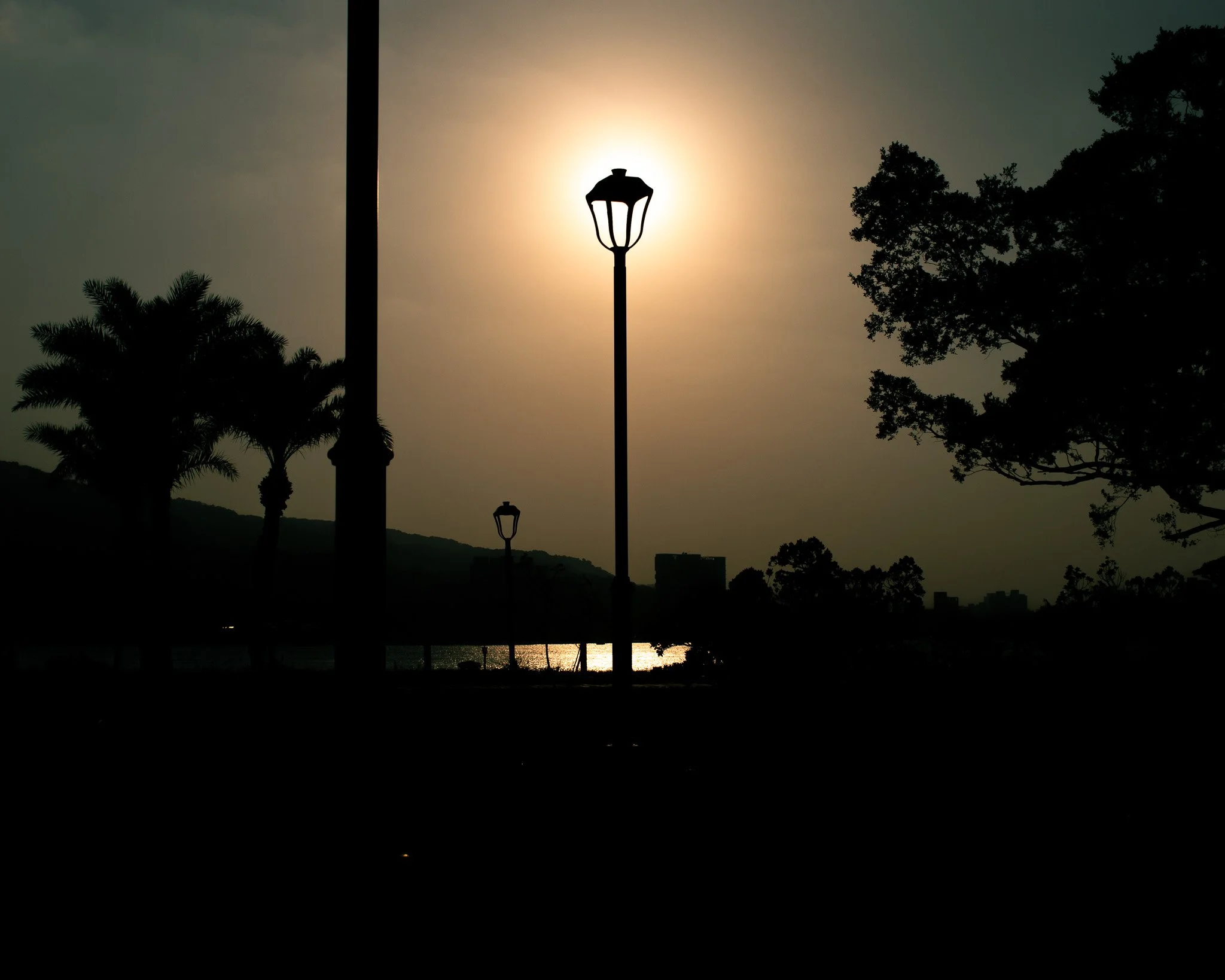 kushphoto-taiwan-streetlamp-sunset-silhouette-2025.jpg