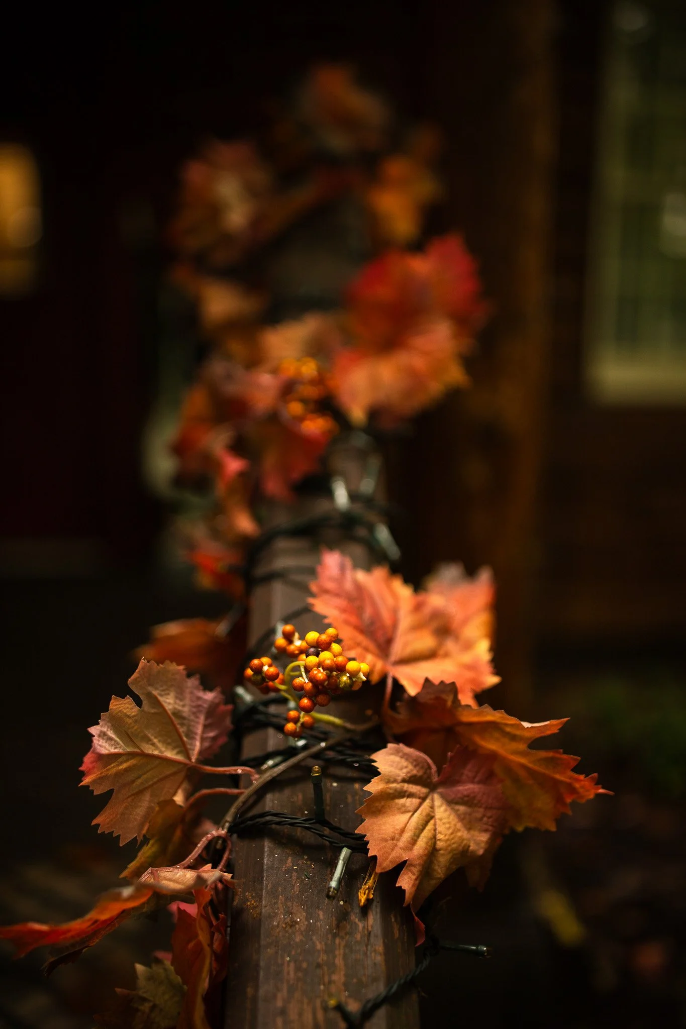 kushphoto-usa-autumn-leaves-berries-lights-2023.jpg