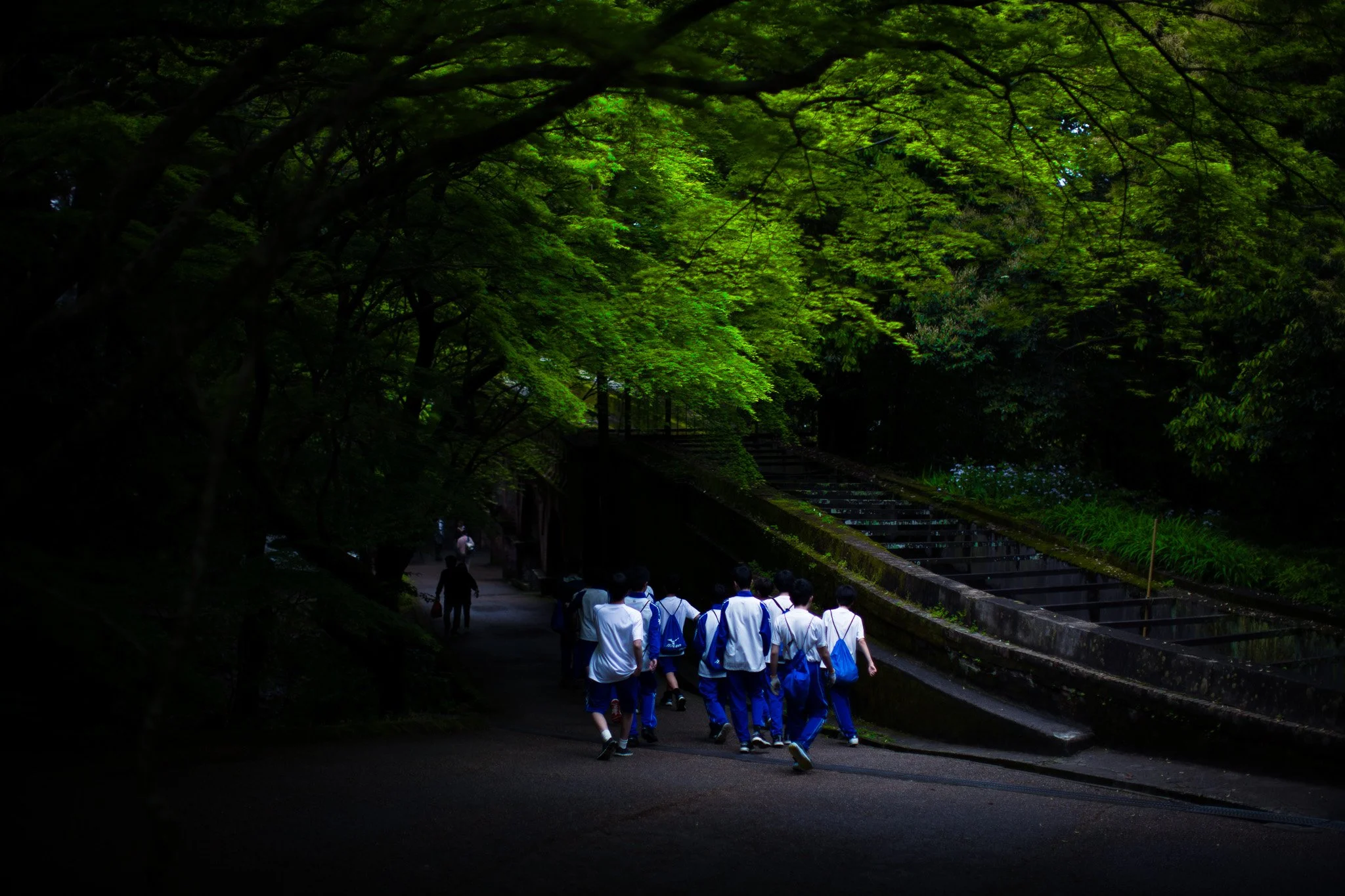 kushphoto-kyoto-students-walking-path-2024.jpg