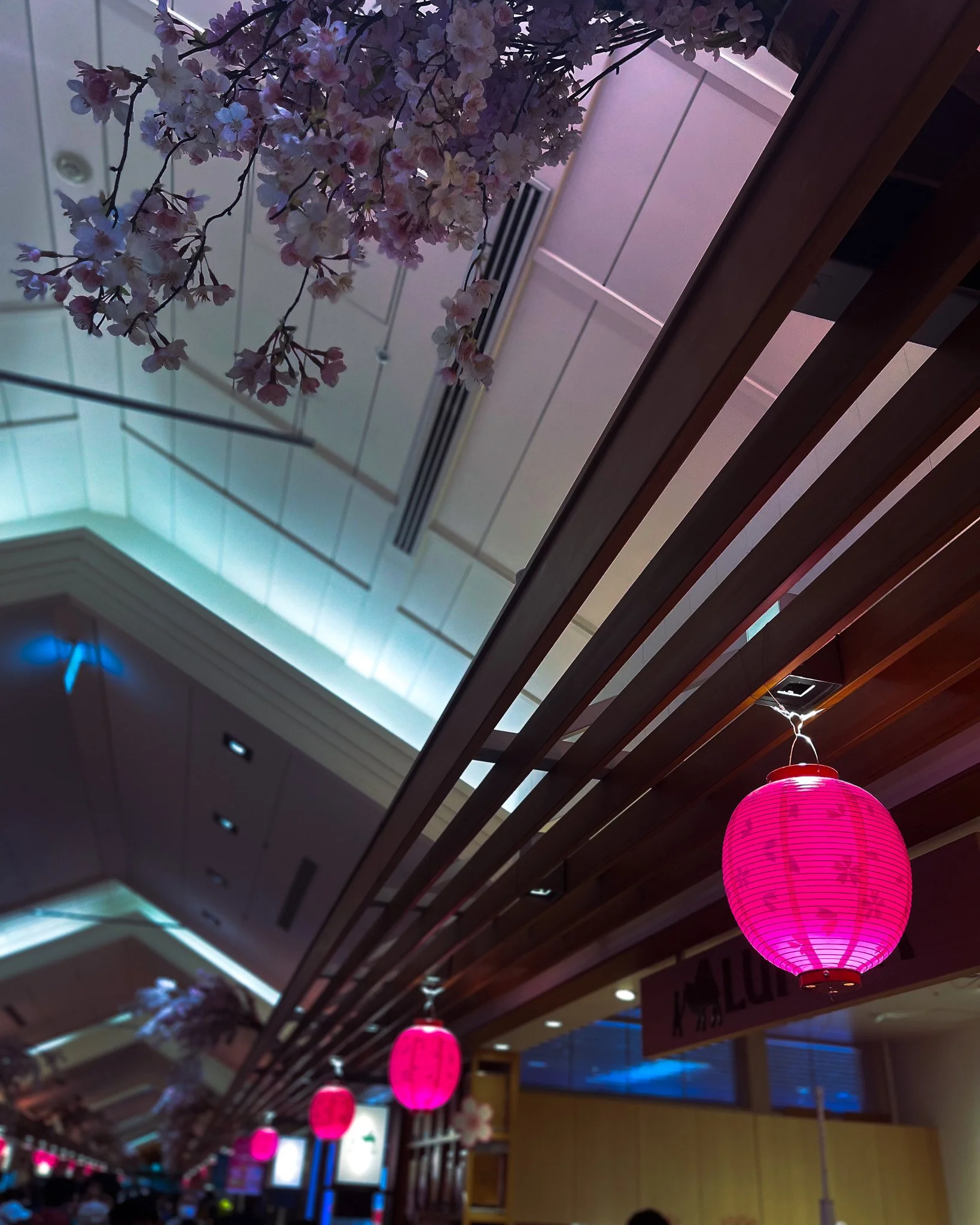 Interior of a restaurant or mall with pink paper lanterns hanging from the ceiling and artificial cherry blossom flowers as decoration.